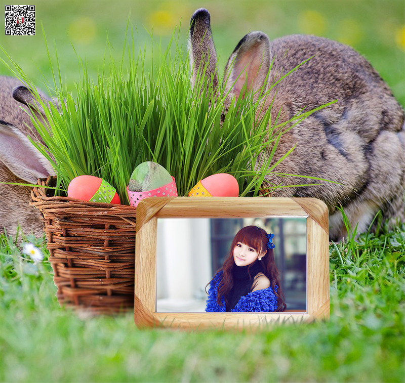 兔子，青草，木制相框照片合成